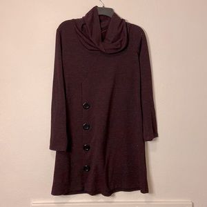 🍁2/$20🍁 Boutique Cowl Neck Dress Size Large Cozy Sweater Dress in Dark Maroon